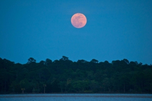 FENOMEN ASTRONOMIC RAR: Super Lună şi eclipsă în aceeaşi noapte