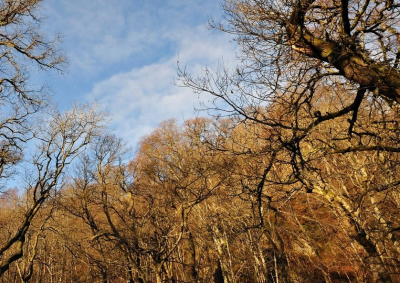 Temperaturi peste cele normale. Cum va fi vremea în primele săptămâni din 2024
