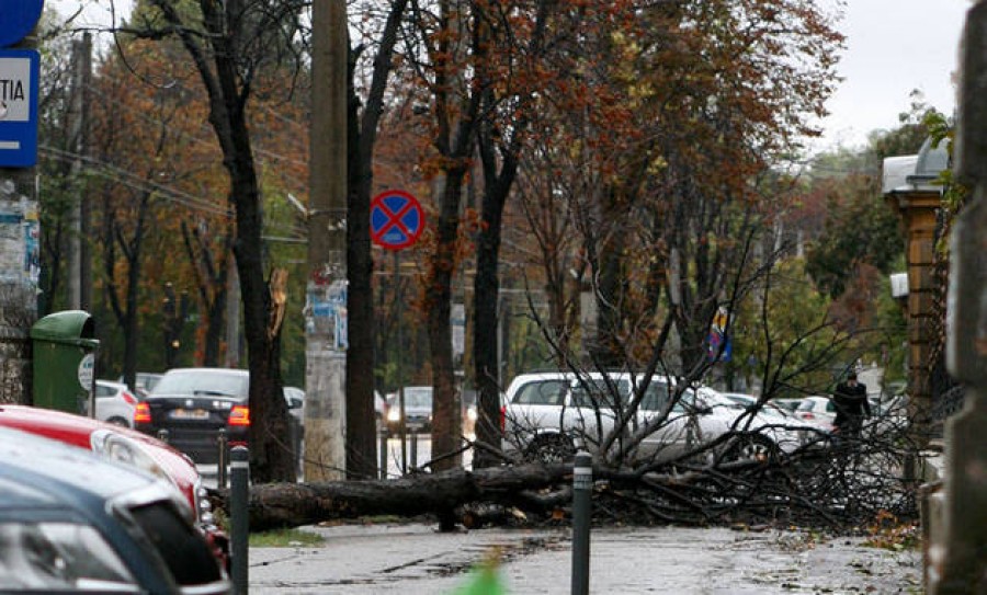 Vântul a făcut ravagii în Bucureşti: Trei persoane rănite, 42 de maşini avariate şi 91 de copaci doborâţi