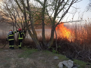 Pârjol în apropiere de Galați. Zeci de hectare de pădure și vegetație uscată ard necontrolat
