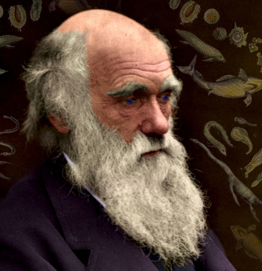 Expunere la Muzeul de Istorie: "Charles Darwin şi teoria evoluţionistă"