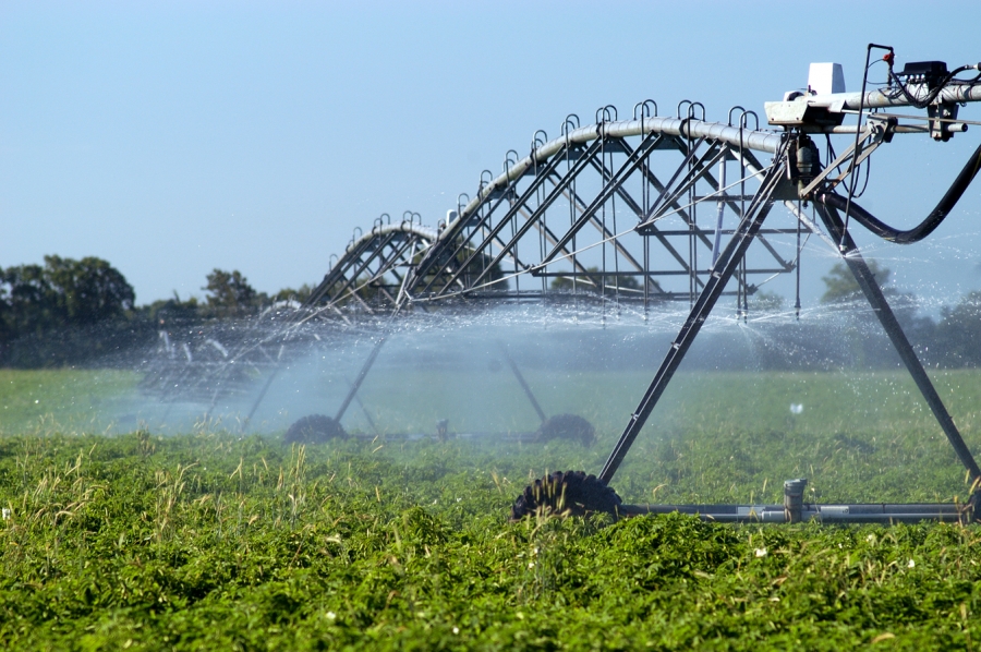 Plan de investiţii în reabilitarea sistemului de irigaţii, după ce SECETA a făcut ravagii