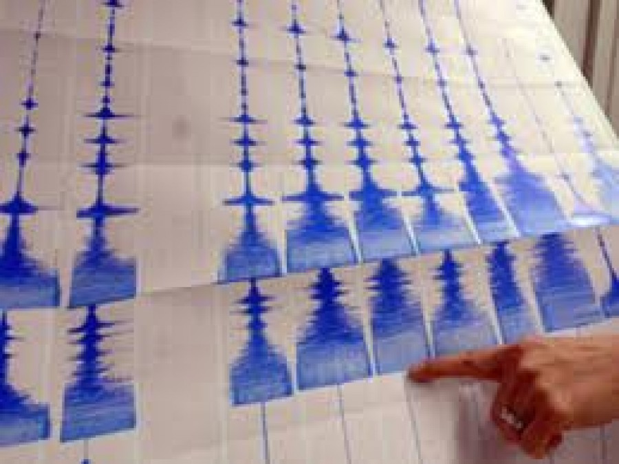 Cutremur de 3,5 grade pe scara Richter în Vrancea