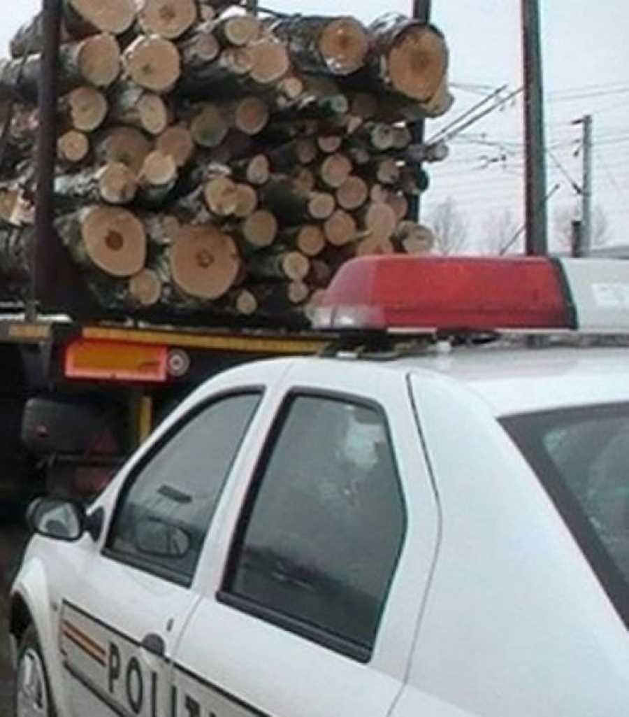 Reclamații privind transporturi ILEGALE de lemn. ”Inspectorul Pădurii”, în vizorul premierului