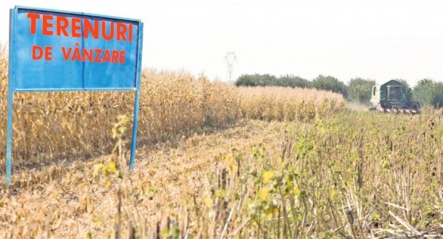 Robert Rekkers, directorului Agricover Credit IFN: "Cine cumpără teren acum, câştigă!" 