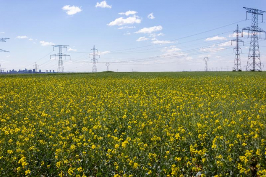 Galațiul, în topul județelor agricole