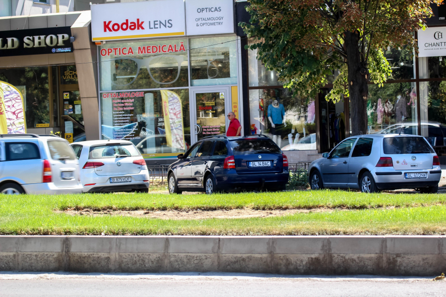 Vom avea plante ornamentale, iluminate, pe Brăilei