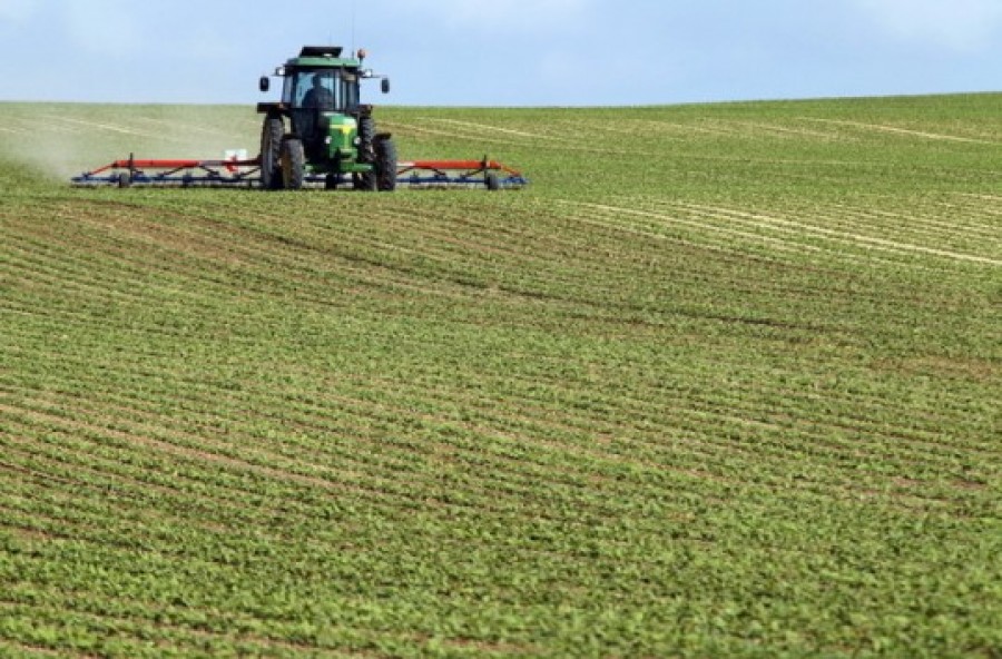 Bugetul Ministerului Agriculturii aferent plăţilor directe pe suprafaţă va fi majorat