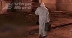 Zbor sinucigaş