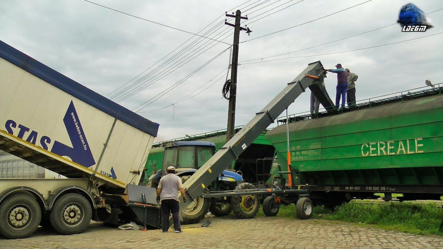 Afaceri ilegale cu cereale, finalizate în arest