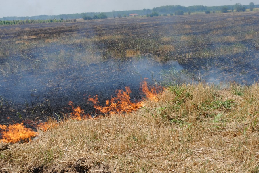 AVERTISMENT! Incendierea miriştilor aduce amenzi