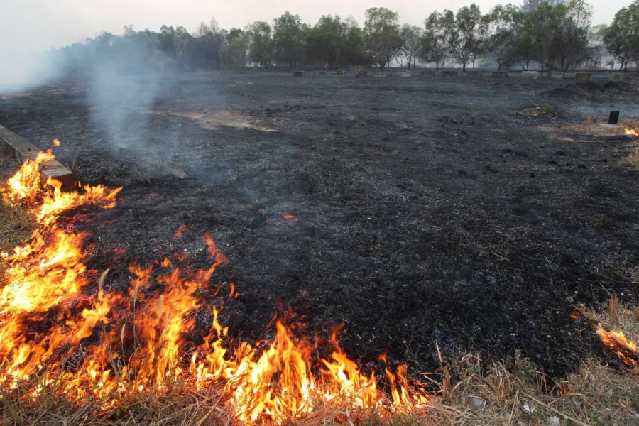 INCENDII de vegetație în județul Galaţi