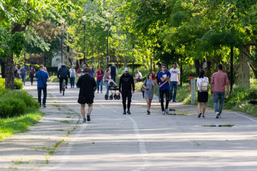 Rată a șomajului în creștere, în rândul tinerilor