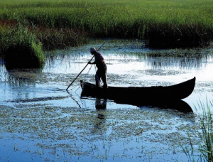 Investigație și plăți sistate pentru Delta Dunării