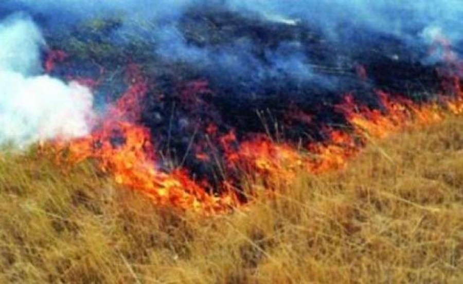 HECTARE întregi de vegetaţie au fost MISTUITE de INCENDII în weekendul trecut