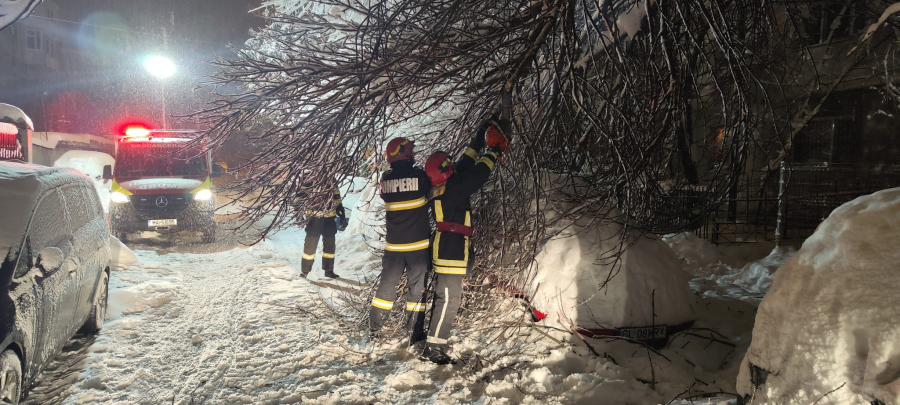 Sub greutatea zăpezii, copacii cad pe bandă. 16 mașini au fost avariate în parcări (VIDEO)