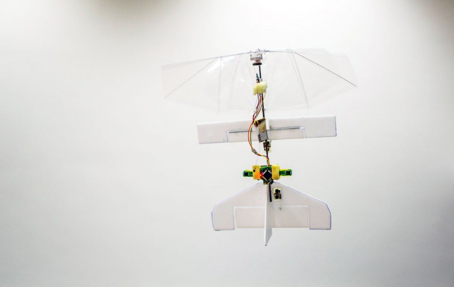 SF-ul devine realitate/ Cea mai mică "insectă-dronă" din lume