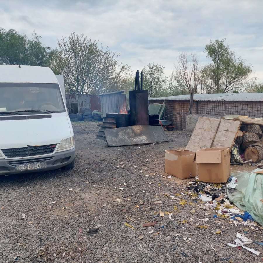 Mizerie într-un adăpost al câinilor fără stăpân (FOTO)