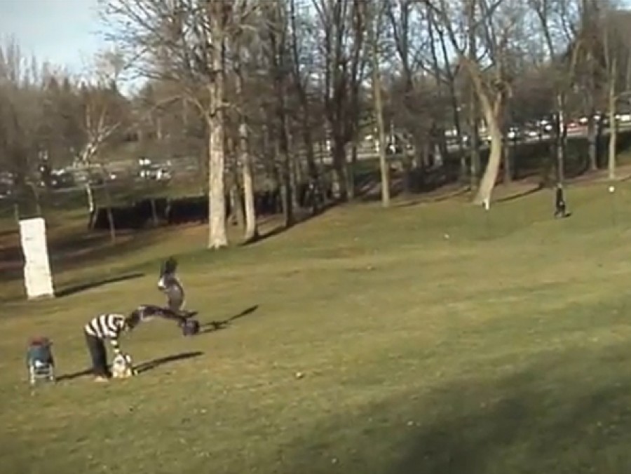 VIDEO / Copil "răpit" de o acvilă într-un parc