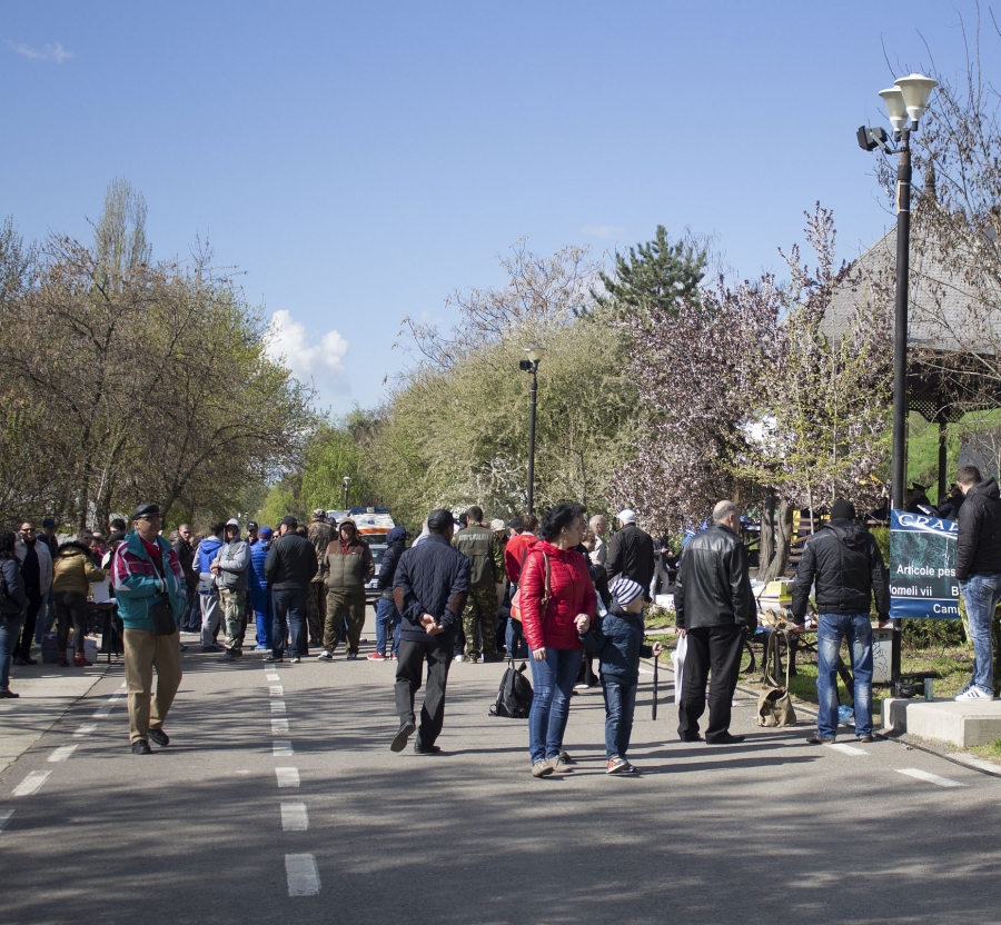 FESTIVALUL SCRUMBIEI, o sărbătoare fără zvâc