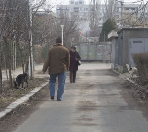 REPORTAJ/ ŢIGLINA II - o ruină. „Sunt mii de locuitori aici, dar puţini oameni!&quot; (FOTO)