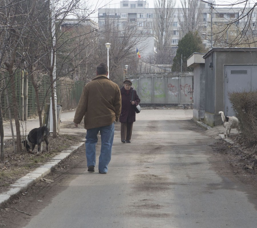 REPORTAJ/ ŢIGLINA II - o ruină. „Sunt mii de locuitori aici, dar puţini oameni!" (FOTO)