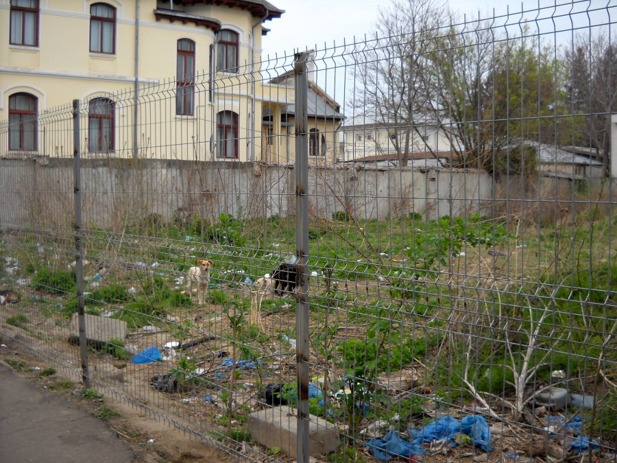 LIPSĂ DE CIVILIZAȚIE | Stradă domnească, gunoaie domneşti