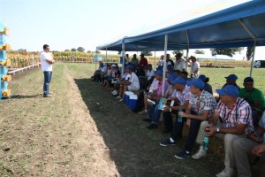 Conferinţă despre agricultură şi bussiness, la Brăila 