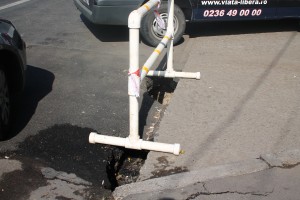 GROPZILLA a făcut pui. O nouă SURPARE a apărut la Spicu