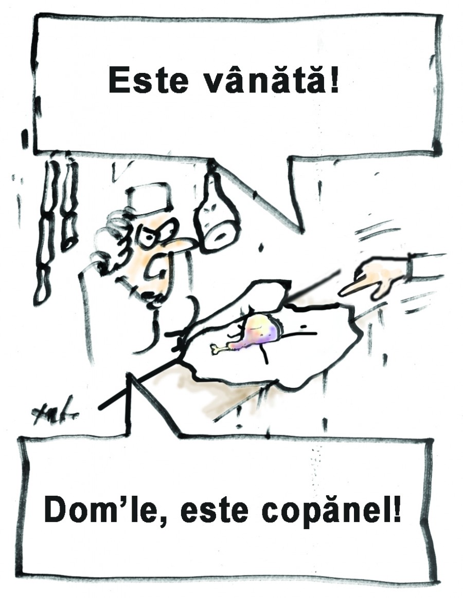 Caricatură 12 decembrie 2013