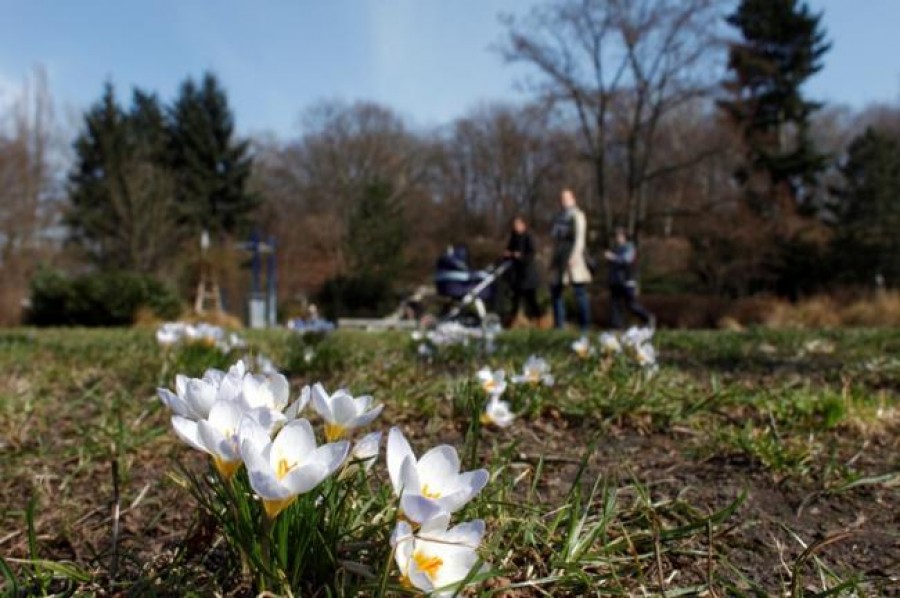 Prognoza meteo pentru 1-14 aprilie: Ce temperaturi vor fi în fiecare regiune a ţării