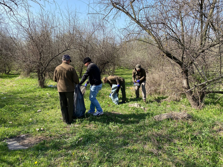 Intrarea în Galați, curățată de silvicultori și voluntari