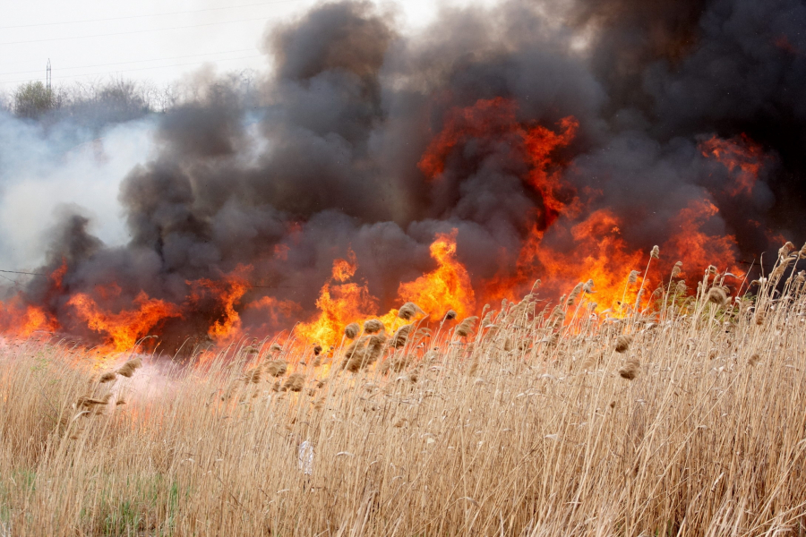 Incendierea vegetației, strict interzisă în județul Galați