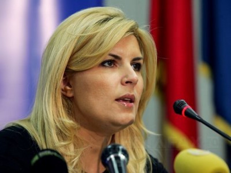 Elena Udrea: Vom analiza activitatea a 3.000 de angajaţi de la Cadastru, să vedem dacă freacă menta