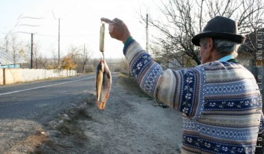 Raiul peştelui, fără… peşte!