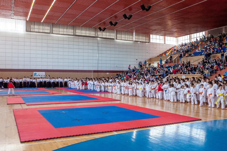 Copiii gălăţeni sunt campioni la karate tradiţional