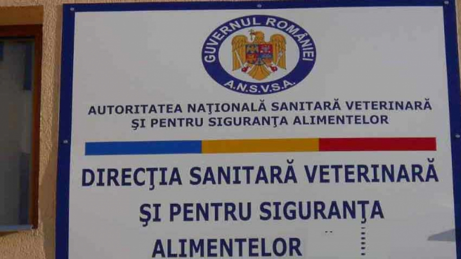 DSVSA a aplicat amenzi de 6.000 de lei la festivalul din Grădina publică