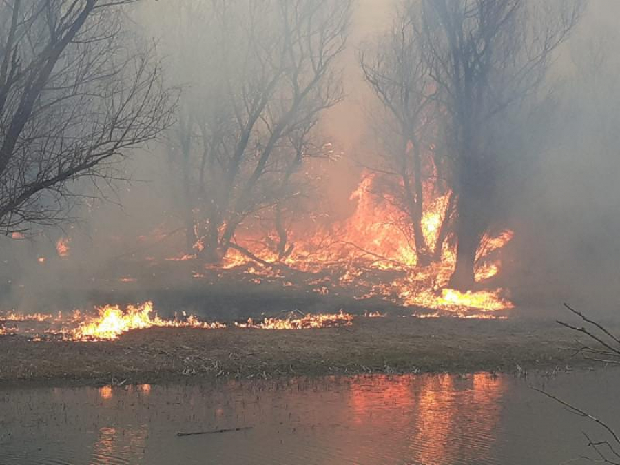 Galațiul, pârjolit de 40 de incendii de vegetație