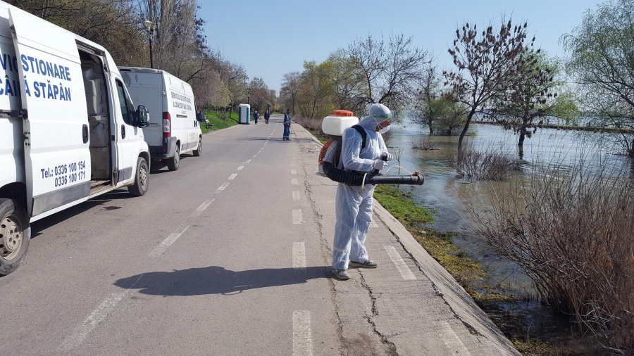 Dezinsecţie în tot oraşul