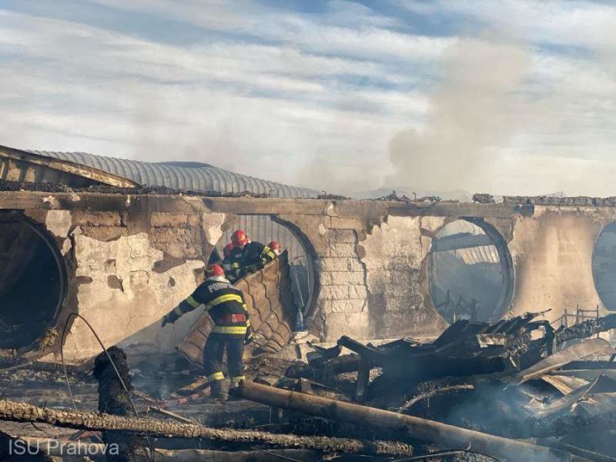 A șaptea victimă carbonizată la Ferma Dacilor