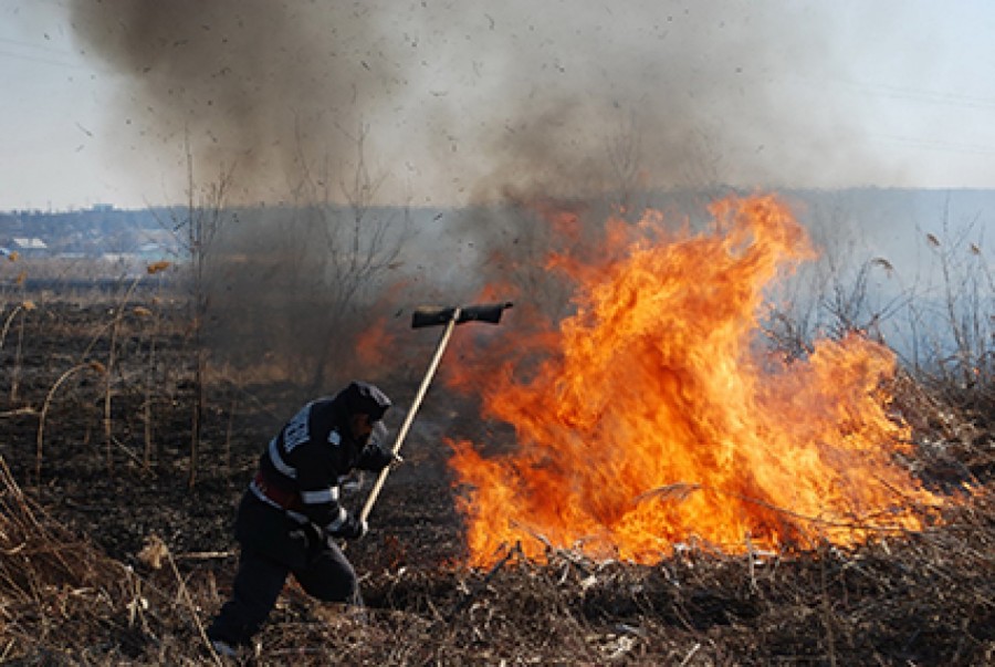 INCENDIU de proporţii, ziua în amiaza mare, într-un sat gălăţean