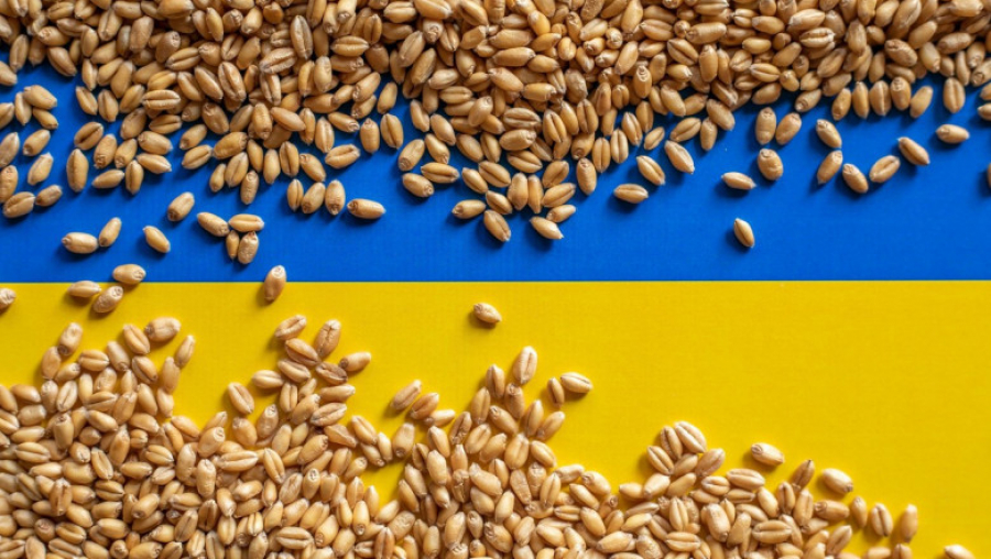 Criza cerealelor din Ucraina: Guvernul aprobă un ajutor de 20 milioane de euro pentru fermierii afectați