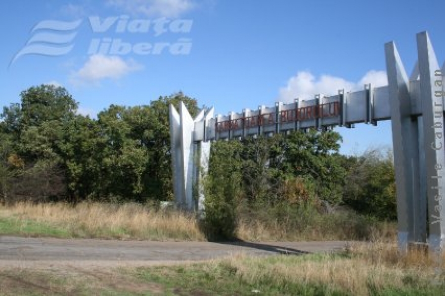 A ars pădurea de la Roşcani