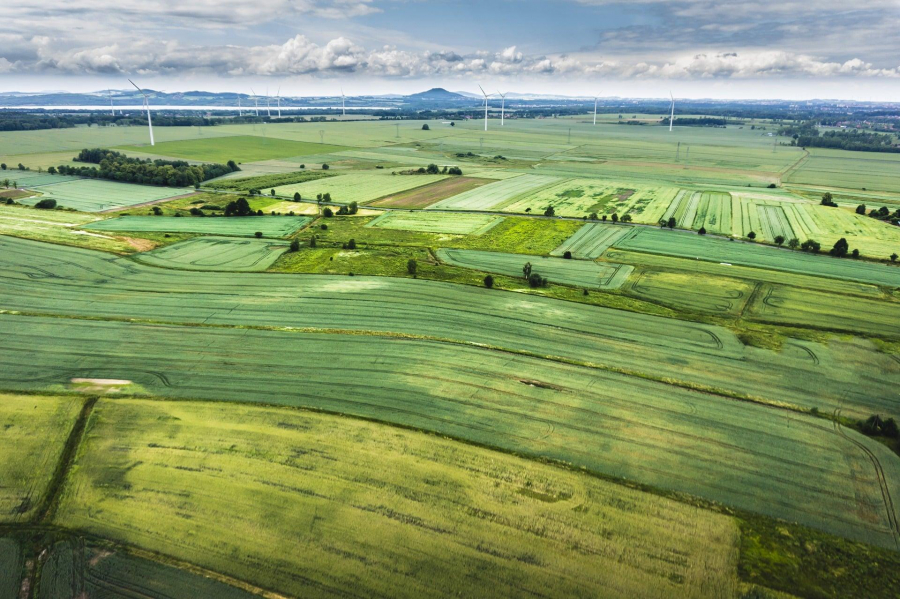 Importanța Recensământului Agricol