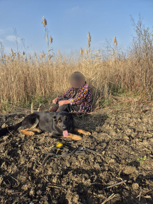 Femeie dispărută, găsită după nouă ore. Un câine a salvat-o