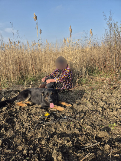 Femeie dispărută, găsită după nouă ore. Un câine a salvat-o