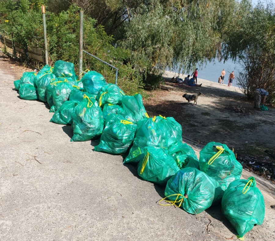 Acţiune de ecologizare la Priza Dunării