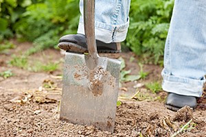 Una înveţi şi alta profesezi - Şcoală multă, job sub aşteptări 
