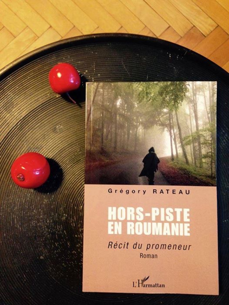 Perspectiva unui francez asupra României