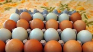 Preţul ouălor a scăzut cu 50 la sută la producători, dar pe rafturile magazinelor sunt de trei ori mai scumpe